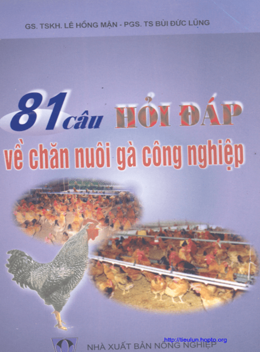 81 Câu Hỏi Đáp Về Chăn Nuôi Gà Công Nghiệp –