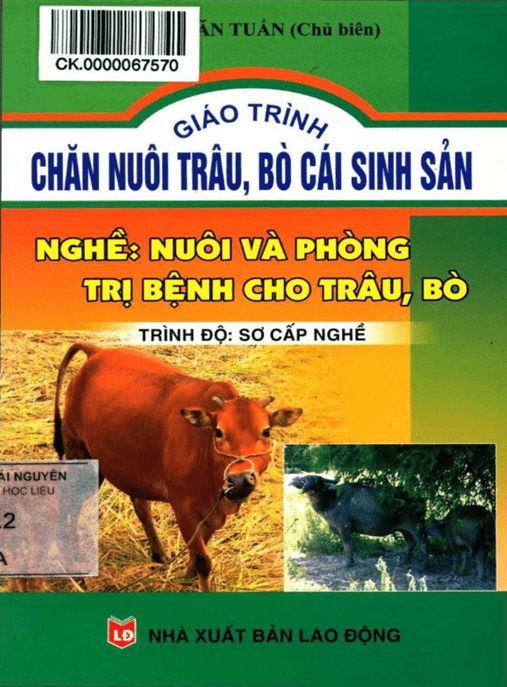 Giáo Trình Chăn Nuôi Trâu Bò Cái Sinh Sản –