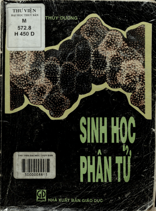 Sinh Học Phân Tử –