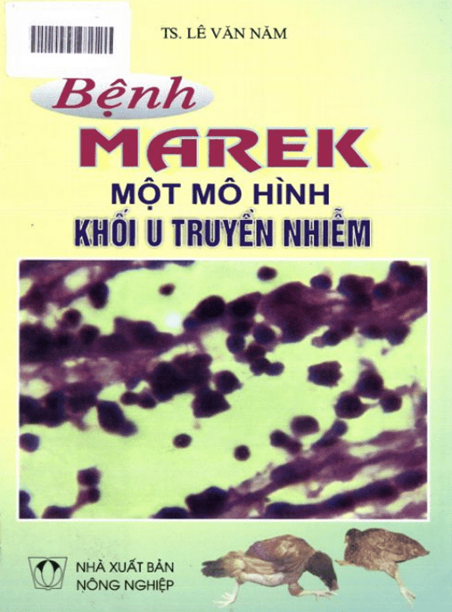 Bệnh Marek Một Mô Hình Khối U Truyền Nghiễm