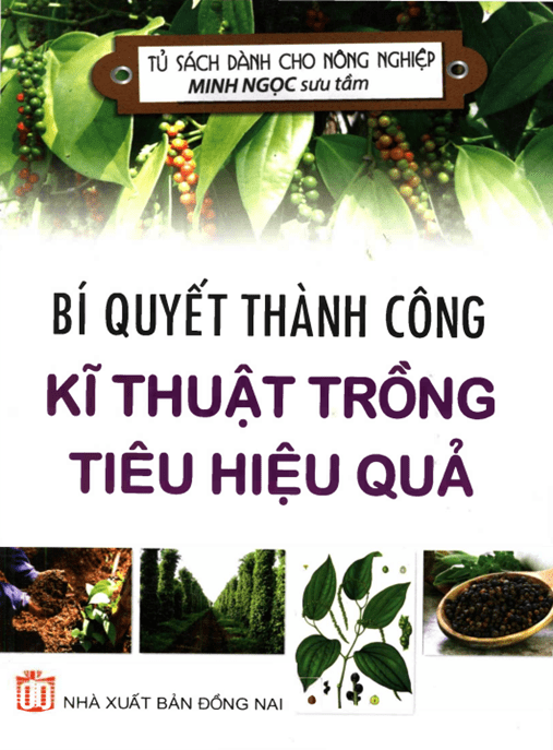 Bí Quyết Thành Công Kỹ Thuật Trồng Tiêu Hiệu Quả