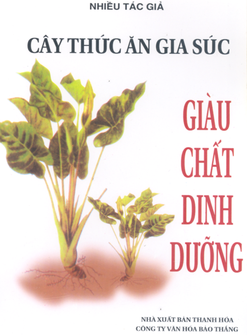 Cây Thức Ăn Gia Súc Giàu Chất Dinh Dưỡng