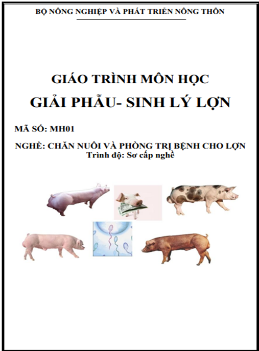 Giáo Trình Môn Học Giải Phẫu – Sinh Lý Lợn