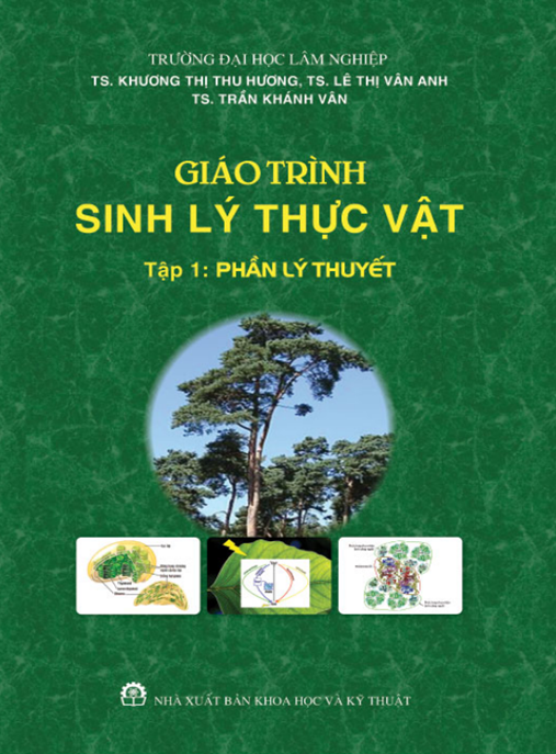Giáo Trình Sinh Lý Thực Vật Tập 1 – Phần Lý Thuyết