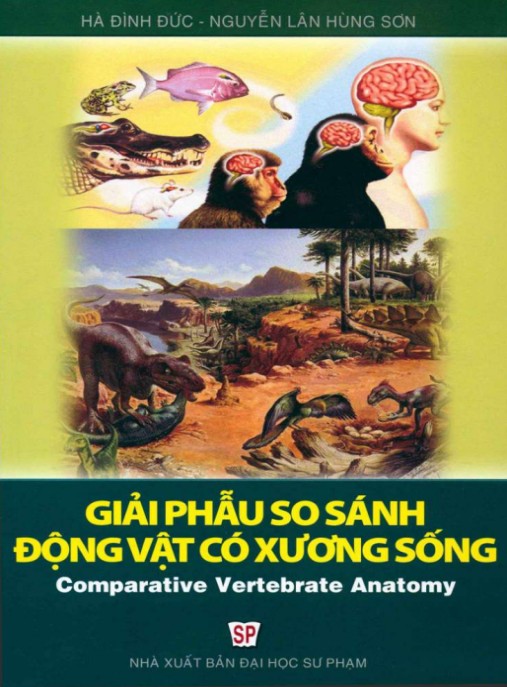 Giáo trình Giải phẫu so sánh động vật có xương sống (Tái bản lần thứ nhất) – Phần 2
