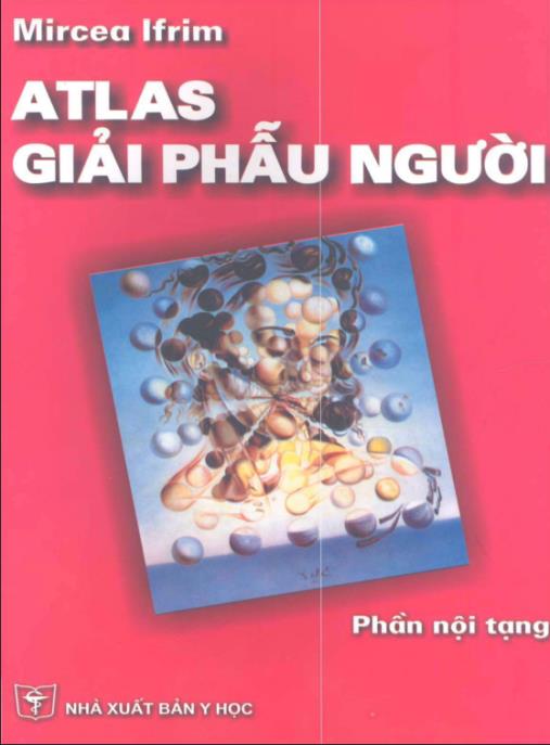 Atlas Giải Phẫu Người – Phần Nội Tạng