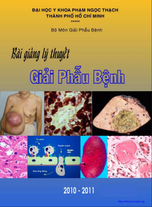 Bài Giảng Lý Thuyết Giải Phẫu Bệnh