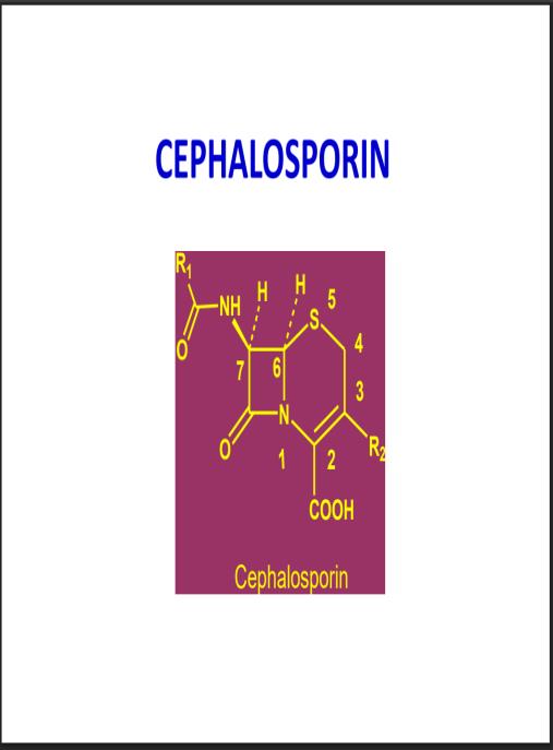 Bài giảng Hóa dược Cephalosporin