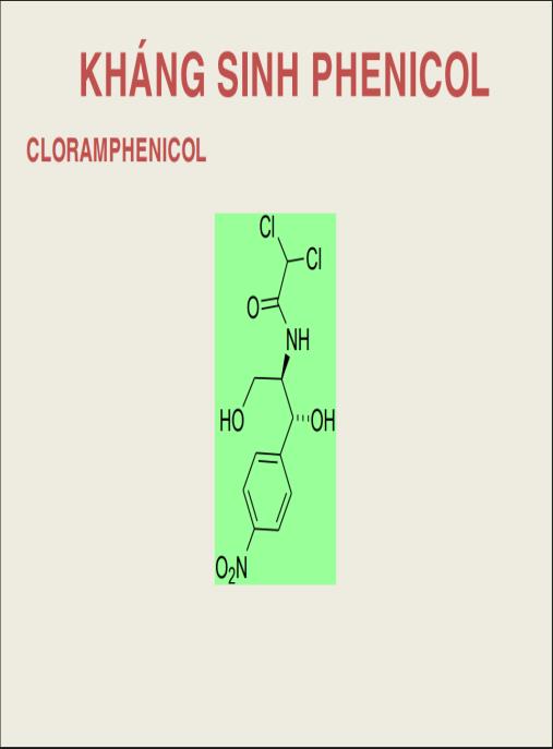Bài giảng Hóa dược Kháng sinh Phenicol