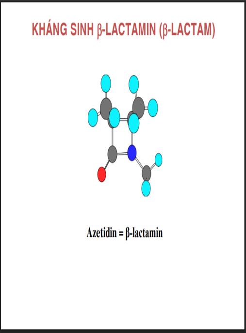 Bài giảng Hóa dược, Nhóm thuốc kháng sinh