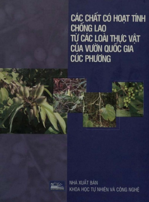 Các Biện Pháp Tránh Thai