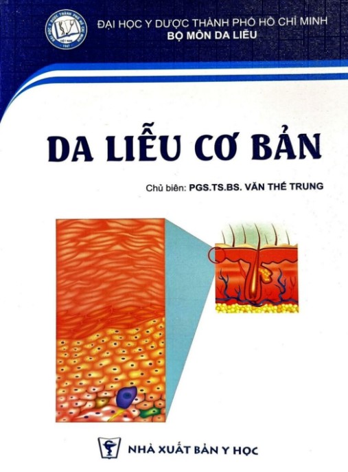 Da Liễu Cơ Bản