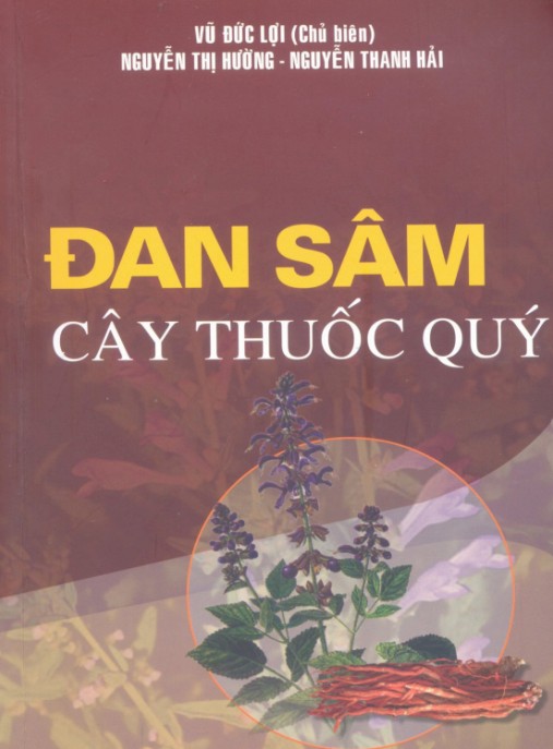 Đan Sâm Cây Thuốc Quý