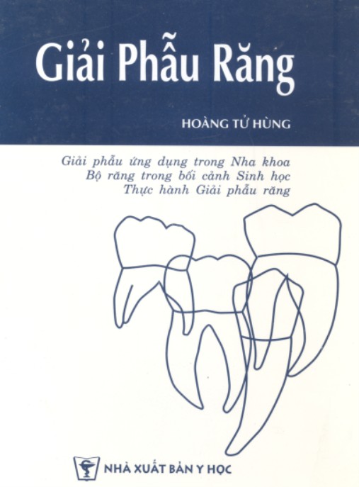 Giải Phẫu Răng
