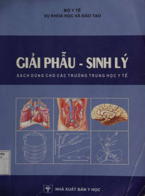 Giải Phẫu Sinh Lý