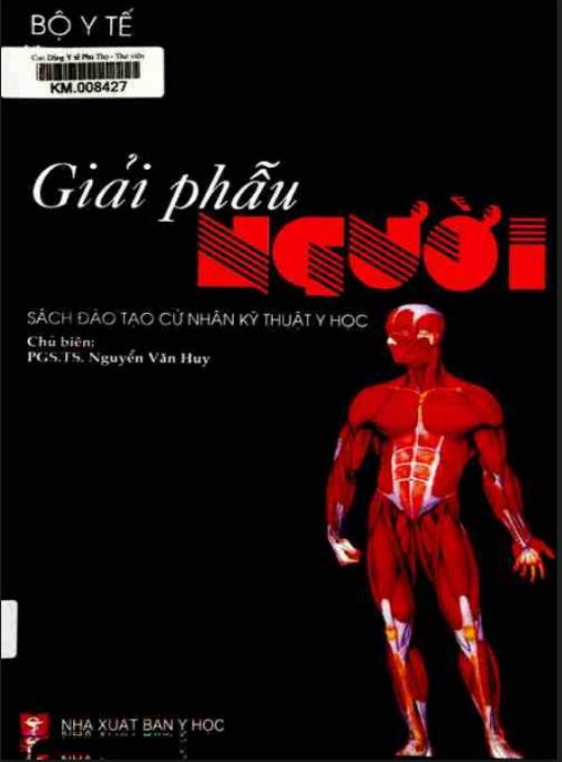 Giải phẫu người (Sách đào tạo cử nhân kỹ thuật y học) – Phần 2