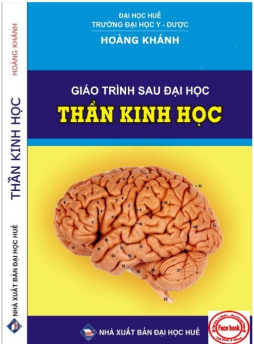 Giáo Trình Sau Đại Học Thần Kinh Học