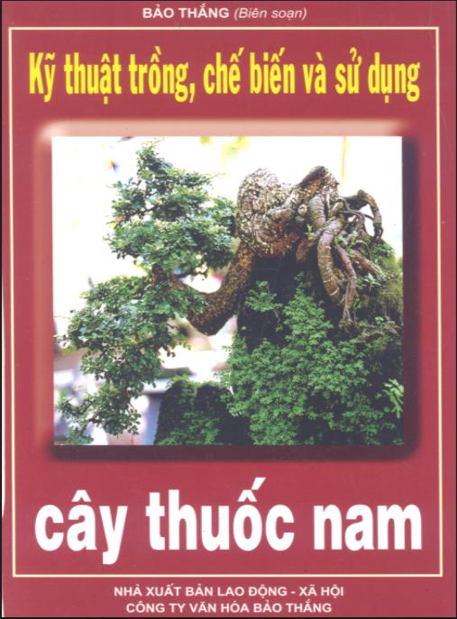 Kỹ thuật trồng, chế biến và sử dụng cây thuốc Nam – Phần 2