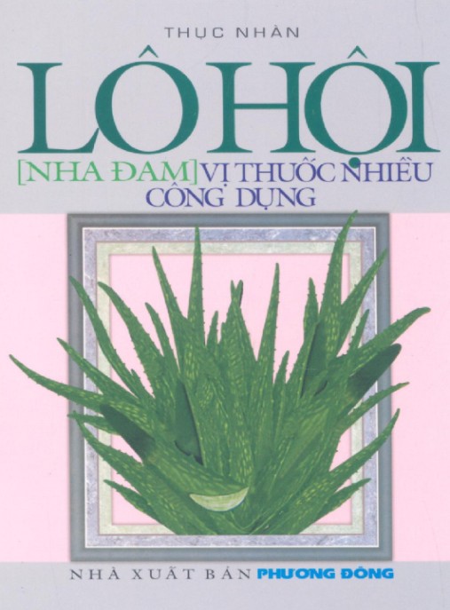 Lô Hội (Nha Đam) Vị Thuốc Nhiều Công Dụng