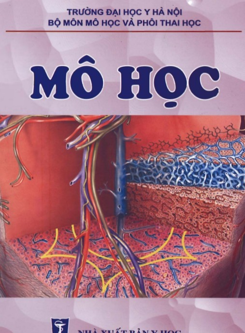 Mô Học