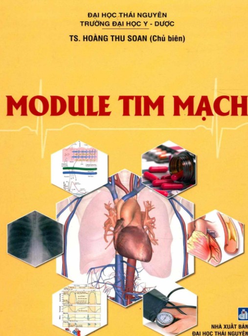 Module Tim Mạch