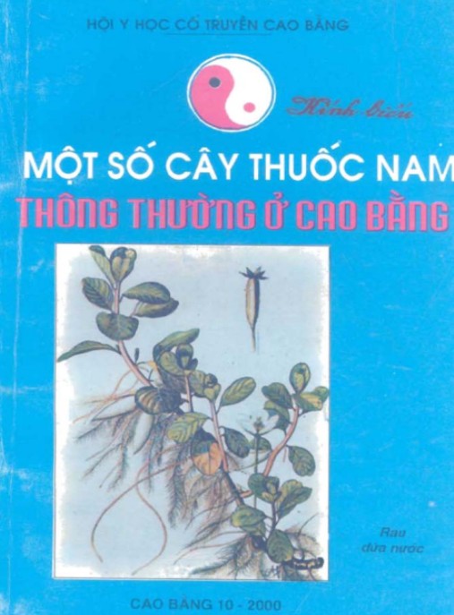 Một Số Cây Thuốc Nam Thông Thường Ở Cao Bằng