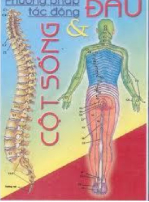 Phương Pháp Tác Động Đầu Và Cột Sống