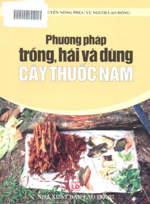 Phương Pháp Trồng Hái Và Dùng Cây Thuốc Nam