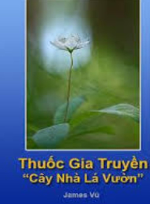 Thuốc Gia Truyền Cây Nhà Lá Vườn